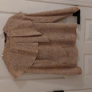 Zara size small Silky Blouse